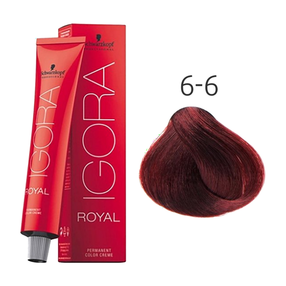 Schwarzkopf Igora Royal 6-6 Donkerblond Chocolade 60 ml