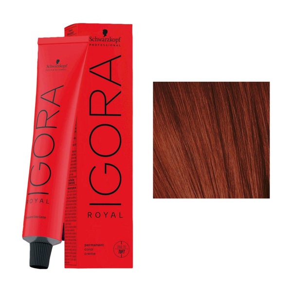 Schwarzkopf Igora Royal 6-88 Donkerblond Rood intens 60 ml